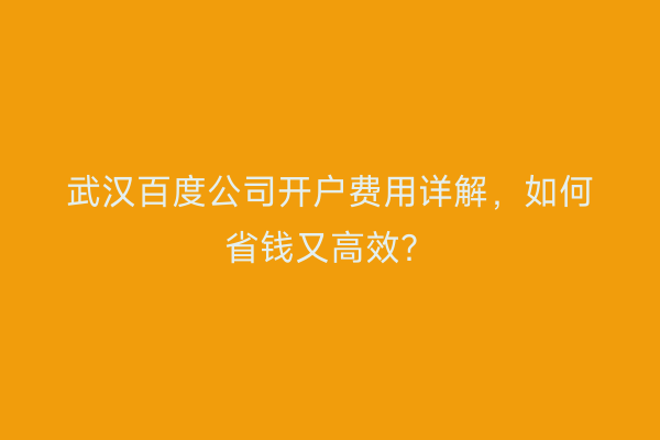 武汉百度公司开户费用详解，如何省钱又高效？