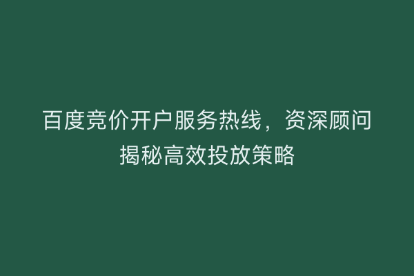 百度竞价开户服务热线，资深顾问揭秘高效投放策略