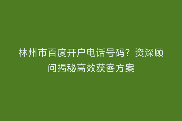 林州市百度开户电话号码？资深顾问揭秘高效获客方案