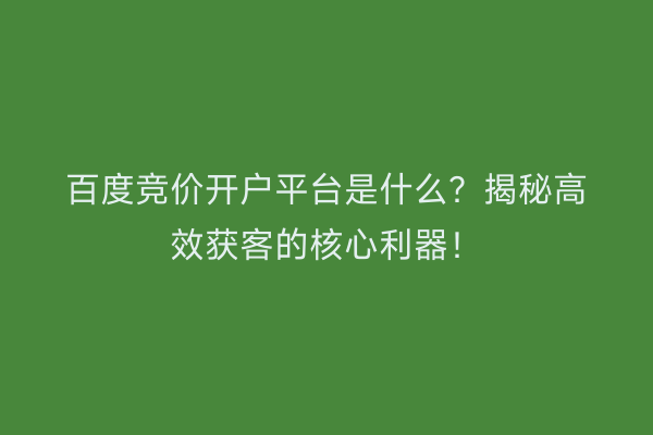 百度竞价开户平台是什么？揭秘高效获客的核心利器！