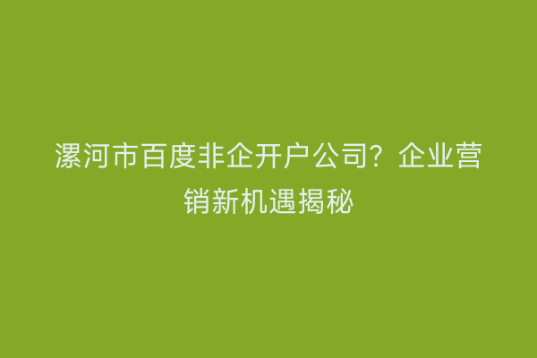 漯河市百度非企开户公司？企业营销新机遇揭秘