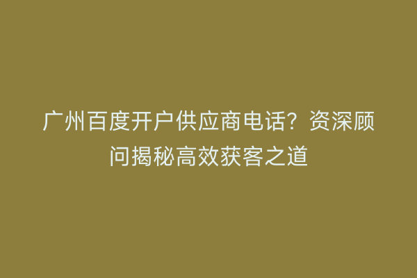 广州百度开户供应商电话？资深顾问揭秘高效获客之道