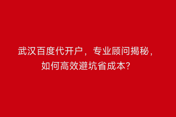 武汉百度代开户，专业顾问揭秘，如何高效避坑省成本？
