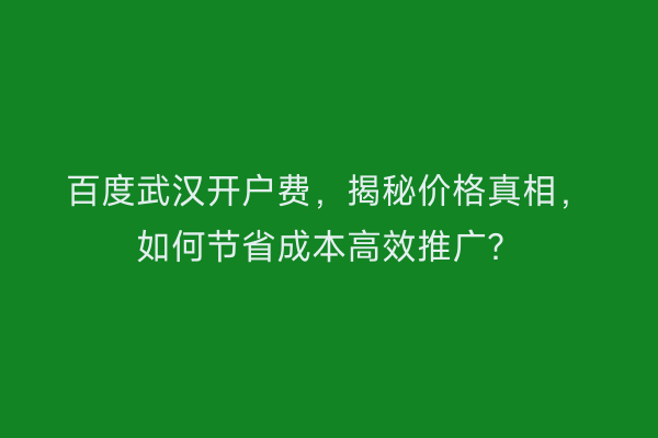 百度武汉开户费，揭秘价格真相，如何节省成本高效推广？