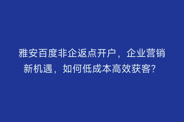 雅安百度非企返点开户，企业营销新机遇，如何低成本高效获客？