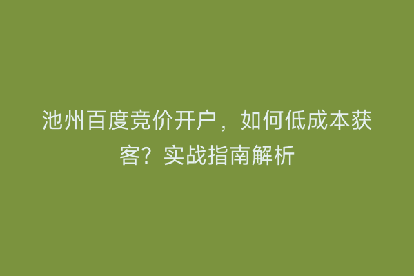 池州百度竞价开户，如何低成本获客？实战指南解析