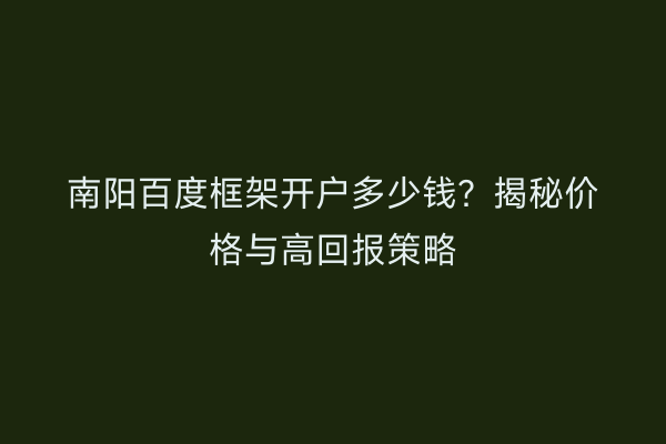 南阳百度框架开户多少钱？揭秘价格与高回报策略