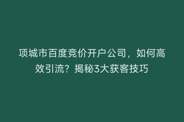 项城市百度竞价开户公司，如何高效引流？揭秘3大获客技巧