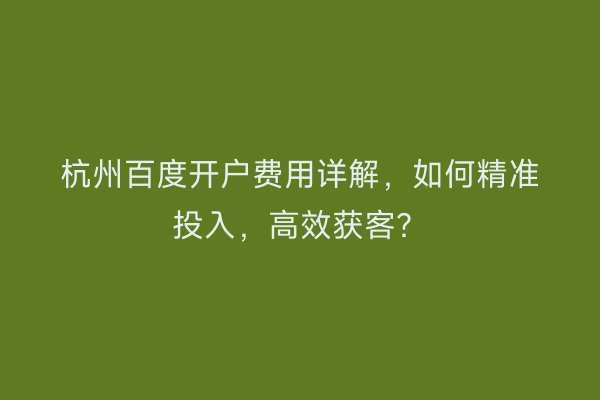 杭州百度开户费用详解，如何精准投入，高效获客？