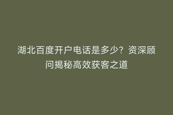 湖北百度开户电话是多少？资深顾问揭秘高效获客之道