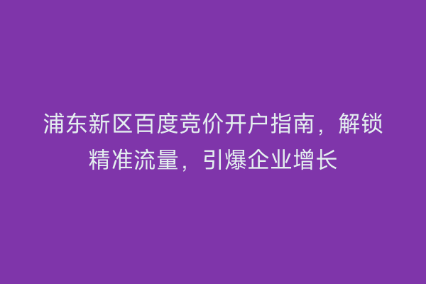浦东新区百度竞价开户指南，解锁精准流量，引爆企业增长