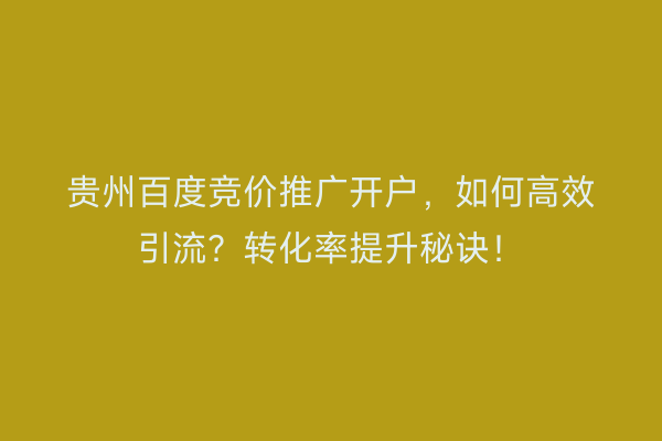 贵州百度竞价推广开户，如何高效引流？转化率提升秘诀！