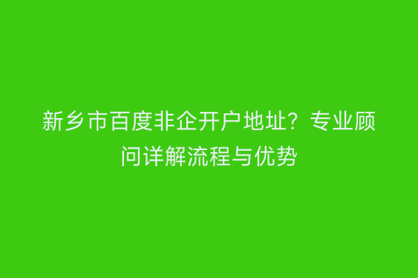 新乡市百度非企开户地址？专业顾问详解流程与优势