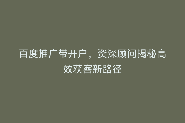 百度推广带开户，资深顾问揭秘高效获客新路径