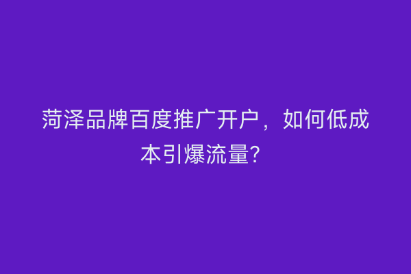 菏泽品牌百度推广开户，如何低成本引爆流量？