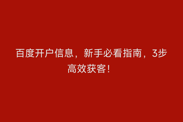 百度开户信息，新手必看指南，3步高效获客！