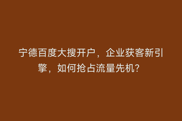 宁德百度大搜开户，企业获客新引擎，如何抢占流量先机？