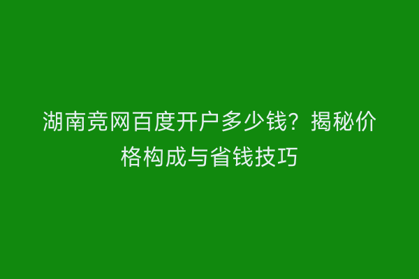湖南竞网百度开户多少钱？揭秘价格构成与省钱技巧