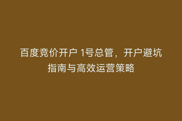 百度竞价开户 1号总管，开户避坑指南与高效运营策略