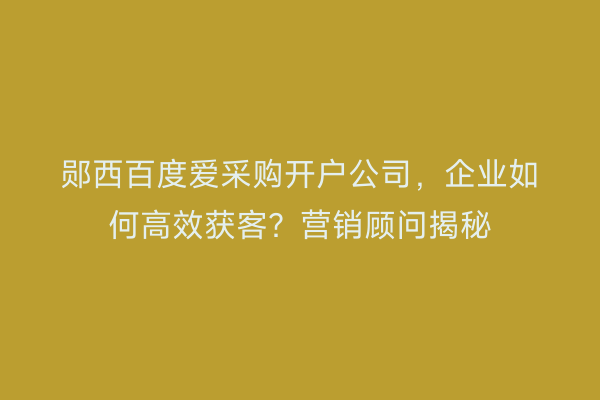 郧西百度爱采购开户公司，企业如何高效获客？营销顾问揭秘
