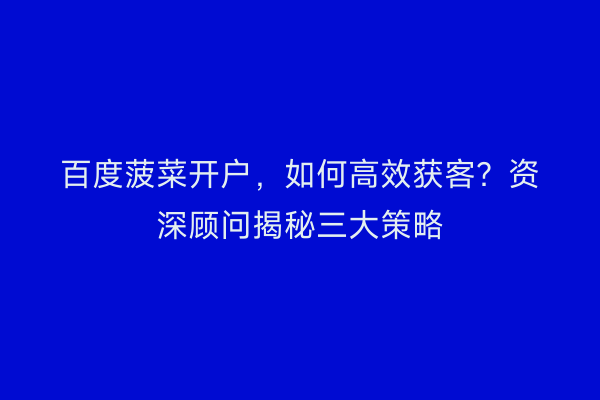 百度菠菜开户，如何高效获客？资深顾问揭秘三大策略