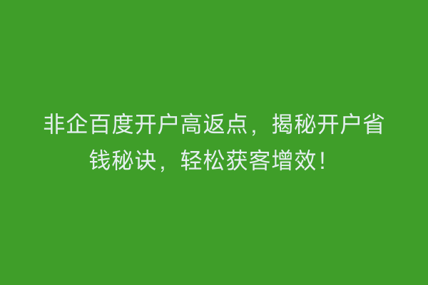 非企百度开户高返点，揭秘开户省钱秘诀，轻松获客增效！