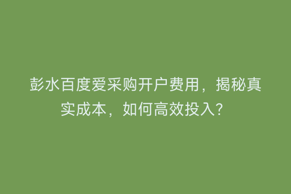 彭水百度爱采购开户费用，揭秘真实成本，如何高效投入？