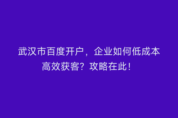 武汉市百度开户，企业如何低成本高效获客？攻略在此！