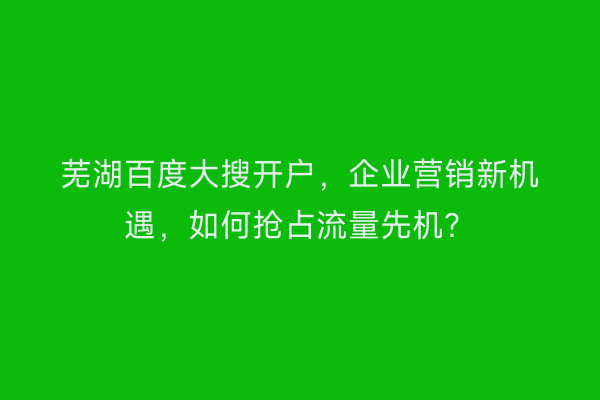 芜湖百度大搜开户，企业营销新机遇，如何抢占流量先机？