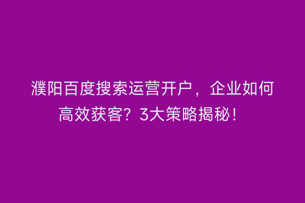濮阳百度搜索运营开户，企业如何高效获客？3大策略揭秘！