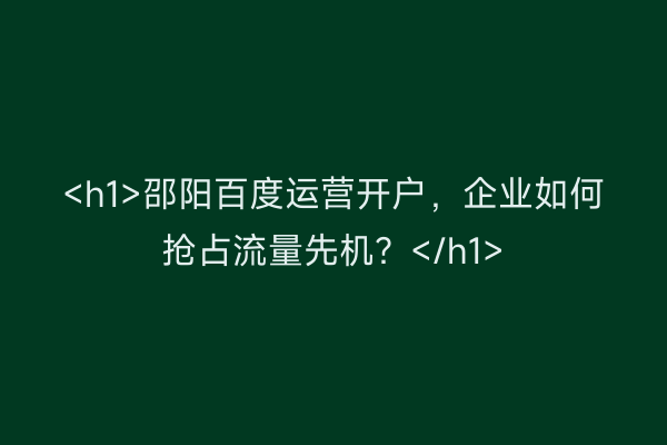 <h1>邵阳百度运营开户，企业如何抢占流量先机？</h1>