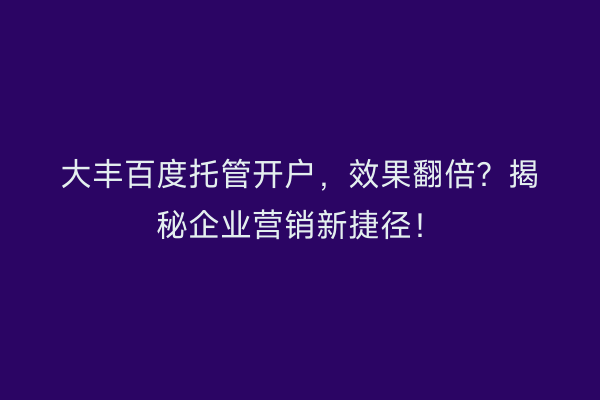 大丰百度托管开户，效果翻倍？揭秘企业营销新捷径！