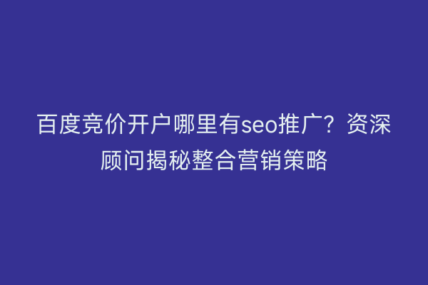 百度竞价开户哪里有seo推广？资深顾问揭秘整合营销策略