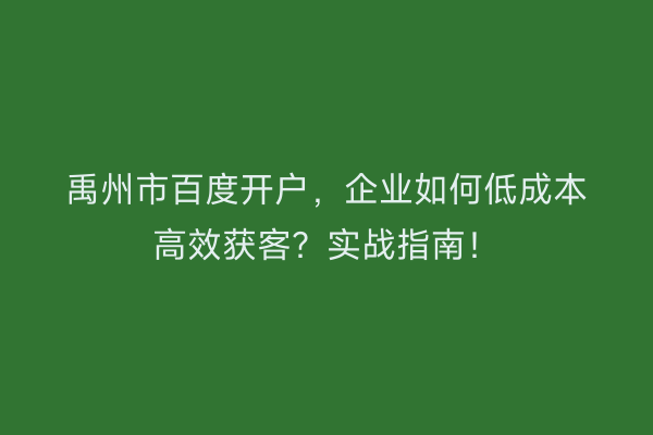 禹州市百度开户，企业如何低成本高效获客？实战指南！