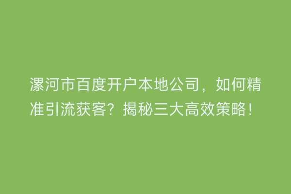 漯河市百度开户本地公司，如何精准引流获客？揭秘三大高效策略！