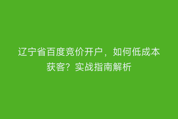 辽宁省百度竞价开户，如何低成本获客？实战指南解析