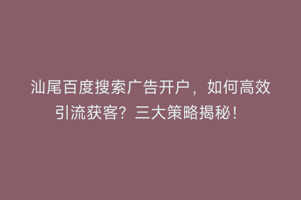 汕尾百度搜索广告开户，如何高效引流获客？三大策略揭秘！