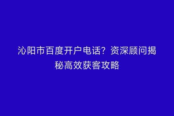 沁阳市百度开户电话？资深顾问揭秘高效获客攻略