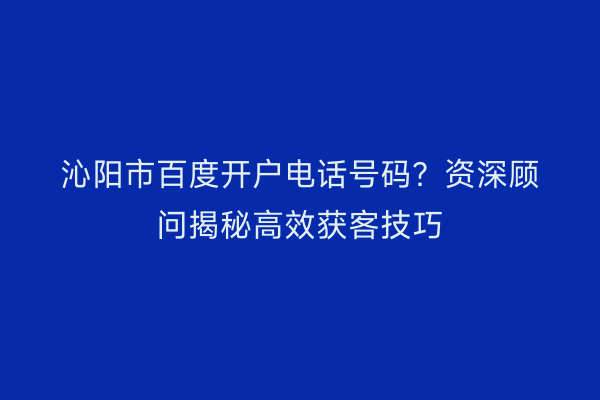 沁阳市百度开户电话号码？资深顾问揭秘高效获客技巧
