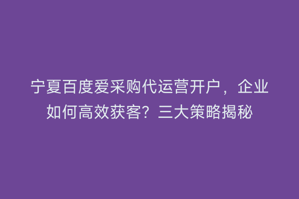 宁夏百度爱采购代运营开户，企业如何高效获客？三大策略揭秘