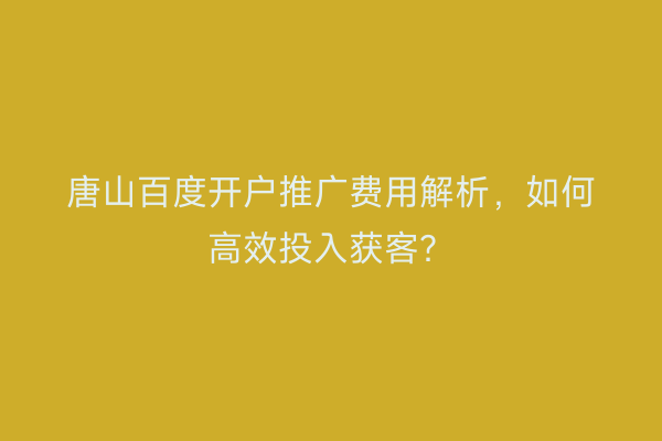 唐山百度开户推广费用解析，如何高效投入获客？