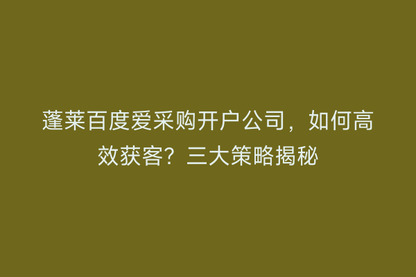 蓬莱百度爱采购开户公司，如何高效获客？三大策略揭秘