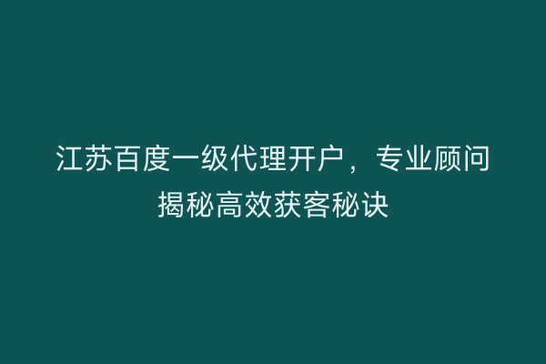 江苏百度一级代理开户，专业顾问揭秘高效获客秘诀