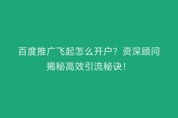 百度推广飞起怎么开户？资深顾问揭秘高效引流秘诀！