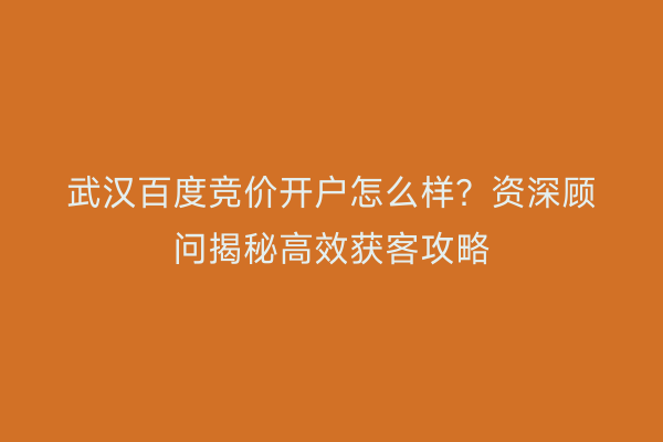 武汉百度竞价开户怎么样？资深顾问揭秘高效获客攻略