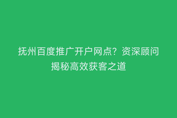 抚州百度推广开户网点？资深顾问揭秘高效获客之道