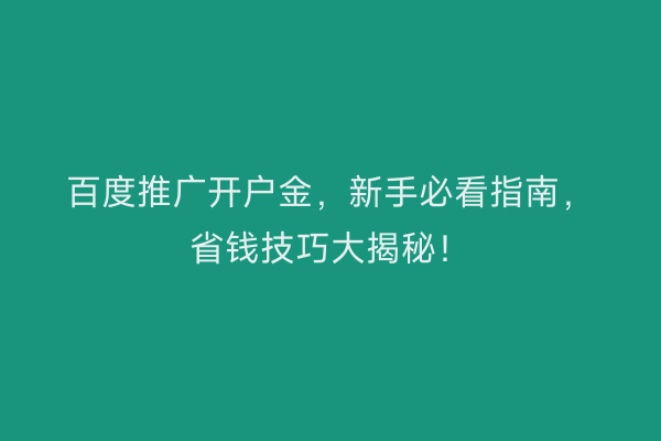 百度推广开户金，新手必看指南，省钱技巧大揭秘！