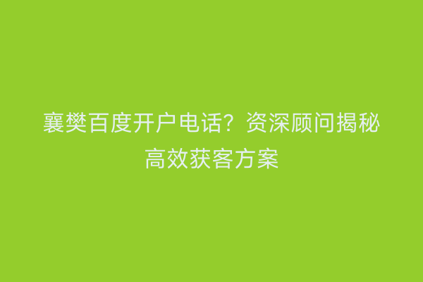 襄樊百度开户电话？资深顾问揭秘高效获客方案
