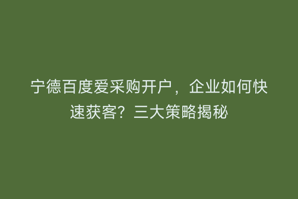 宁德百度爱采购开户，企业如何快速获客？三大策略揭秘