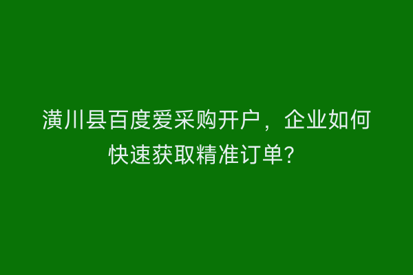 潢川县百度爱采购开户，企业如何快速获取精准订单？